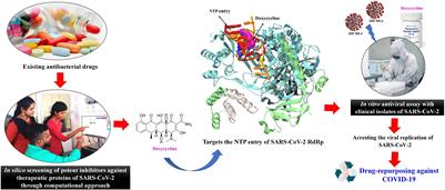 Repurposing of Doxycycline to Hinder the Viral Replication of SARS-CoV-2: From in silico to in vitro Validation